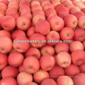 precio de fuji apple en china